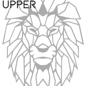Cardio Strong: Upper